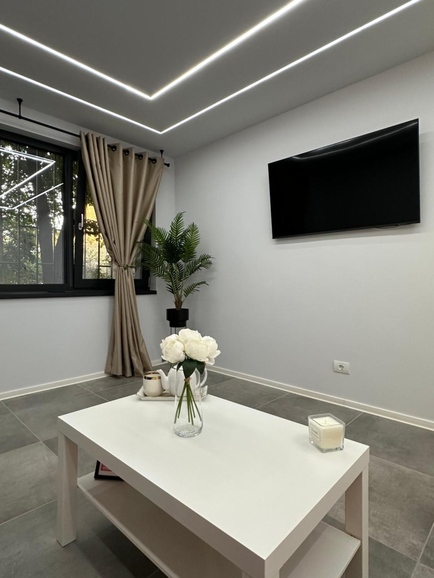 Ppu Home Тимишоара Екстериор снимка
