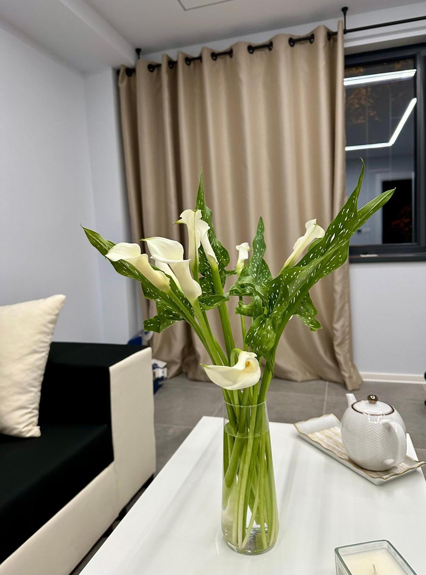 Ppu Home Тимишоара Екстериор снимка