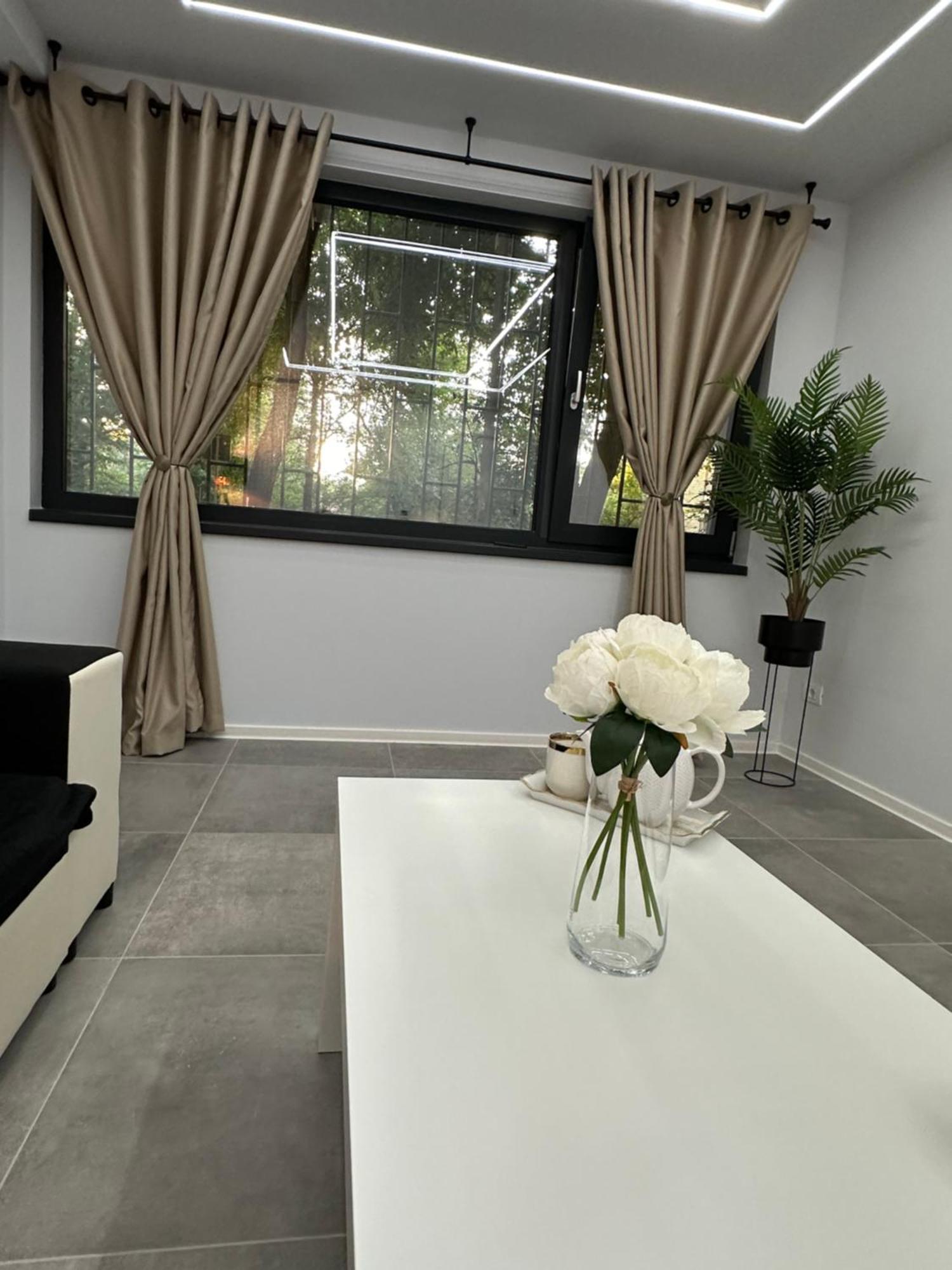 Ppu Home Тимишоара Екстериор снимка