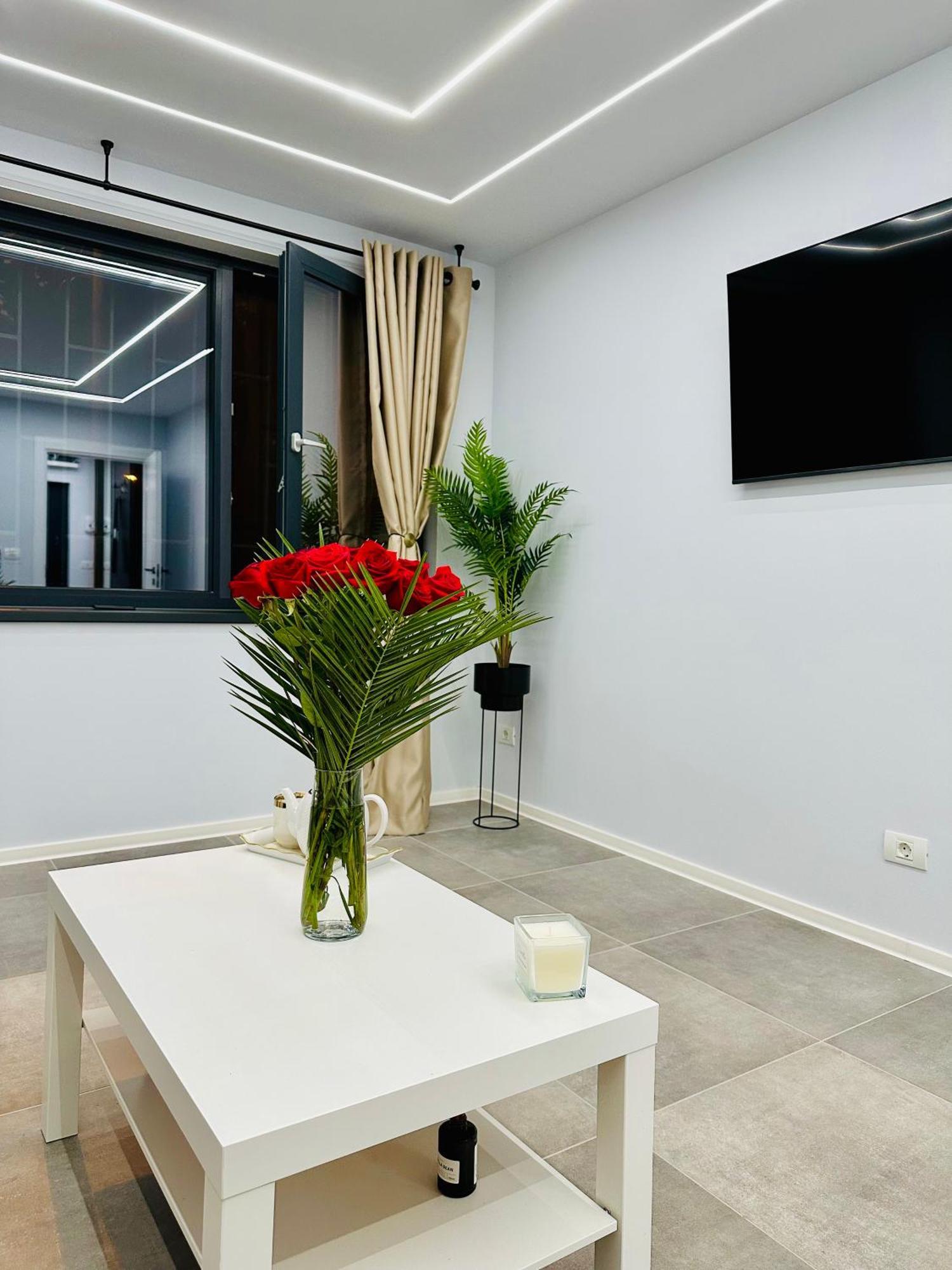 Ppu Home Тимишоара Екстериор снимка
